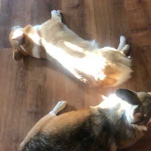 Meet your Posher, Brandy